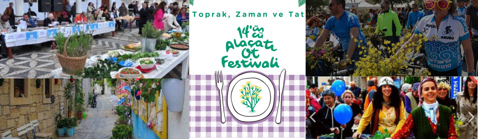 alaçatı ot